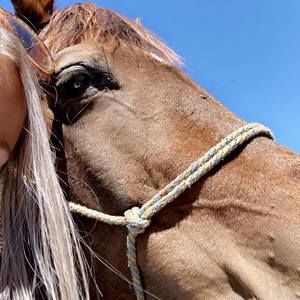 Meet your Posher, Claire